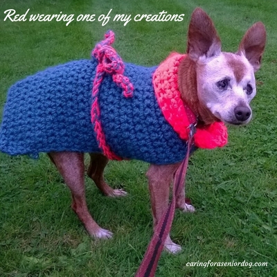 how to crochet a dog coat