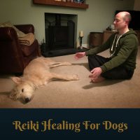 Reiki healing for dogs