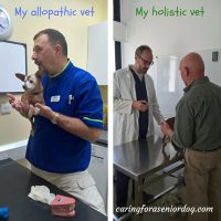 allopathic and holistic veterinary care