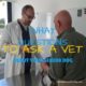 what questions to ask a vet about your senior dog