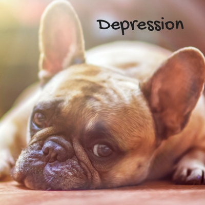 Depression is a symptom of diabetes in dogs