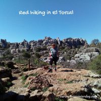 On a hike in El Torcal Antequera Spain with my senior dog Red