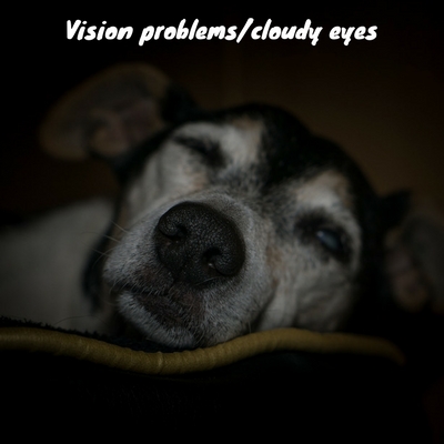 vision problems cloudy eyes