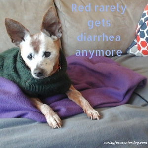 Red rarely gets diarrhea anymore