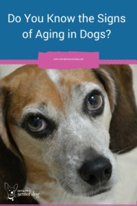 Do you know what the signs of aging in dogs are