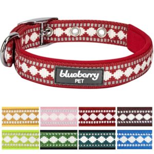 Blueberry Pet padded patterned dog collar 