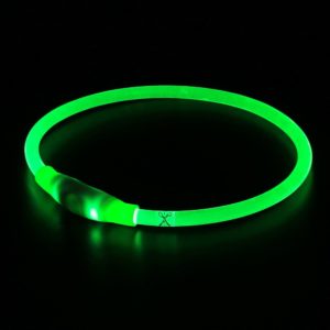 rechargeable glowing dog collar