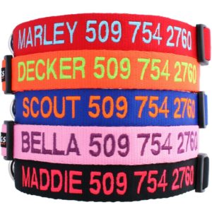 personalized dog collar