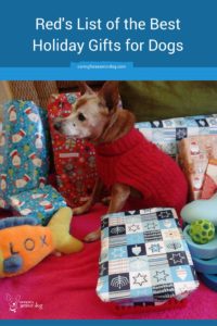 Red's list of the best holiday gifts for dogs