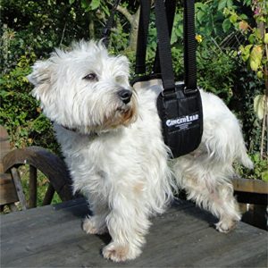 GingerLead dog support sling for small dogs 