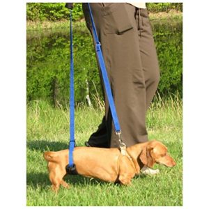 GingerLead dog support sling