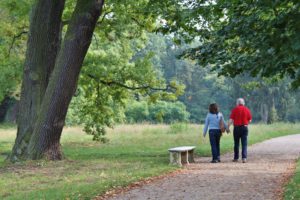 a walk in nature helps relax when caring for a sick dog