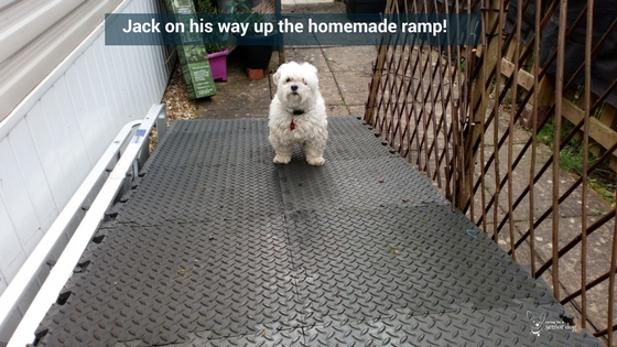 how steep should a dog ramp be