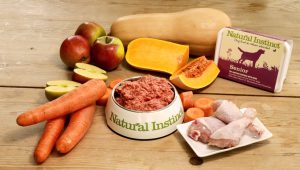 Natural Instinct raw food for senior dogs