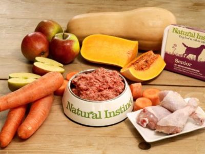 Natural Instinct raw food for senior dogs