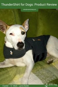 ThunderShirt for Dogs Product Review