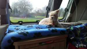 caravan holidays with dogs