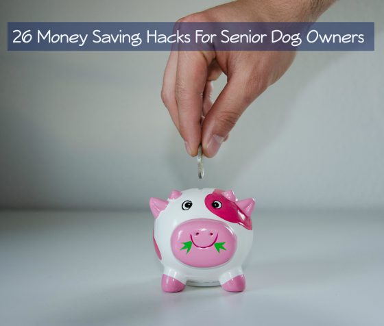 26 money saving hacks for senior dog owners