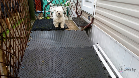 dog ramp for porch steps