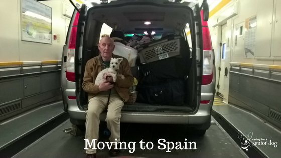 moving to Spain with dogs in the car