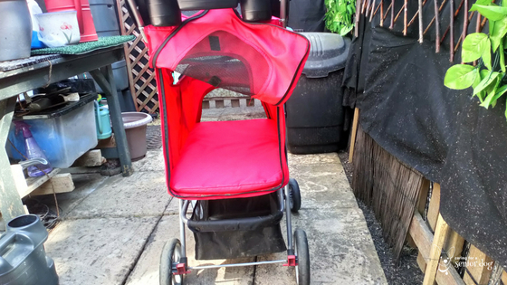 rear entry is a great feature in a pet stroller