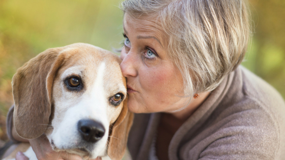 How to Help Your Pup Age Gracefully with PetAlive