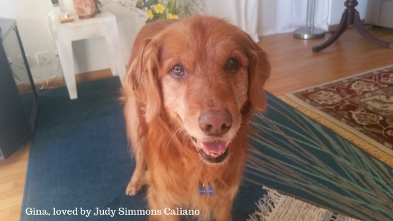 Gina loved by Judy Simmons Caliano