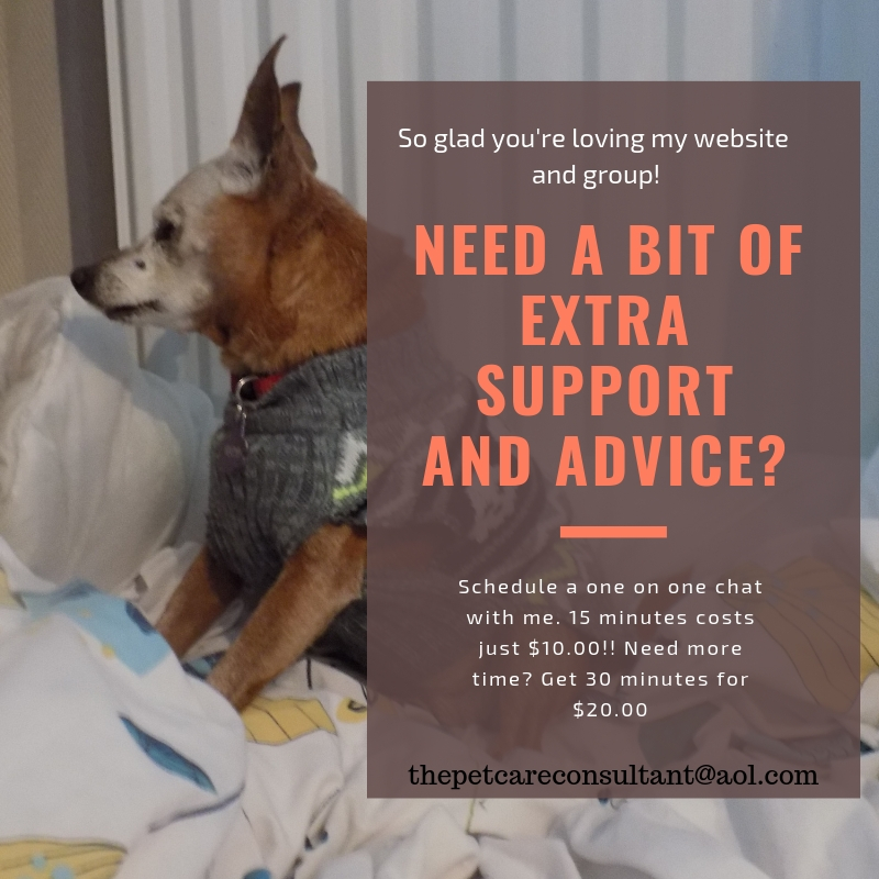 how-to-help-german-shepherds-with-hip-problems-caring-for-a-senior-dog