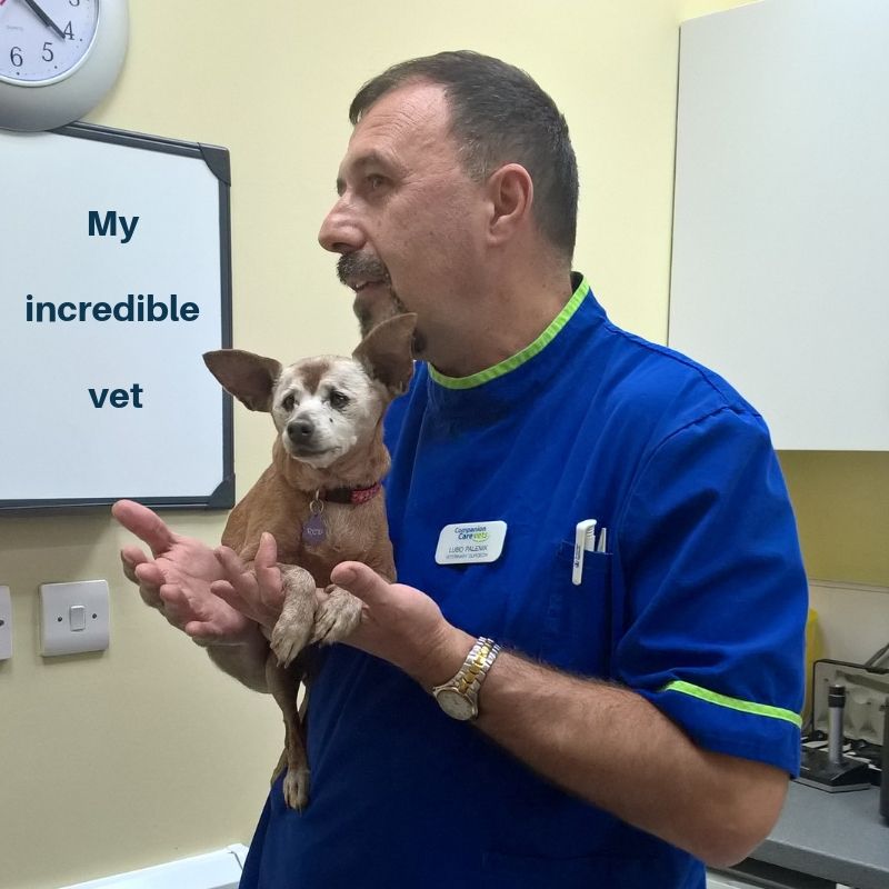 My incredible vet