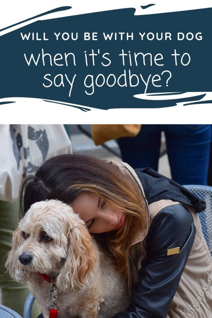 Will You Be With Your Dog When It’s Time to Say Goodbye? - Caring for a ...