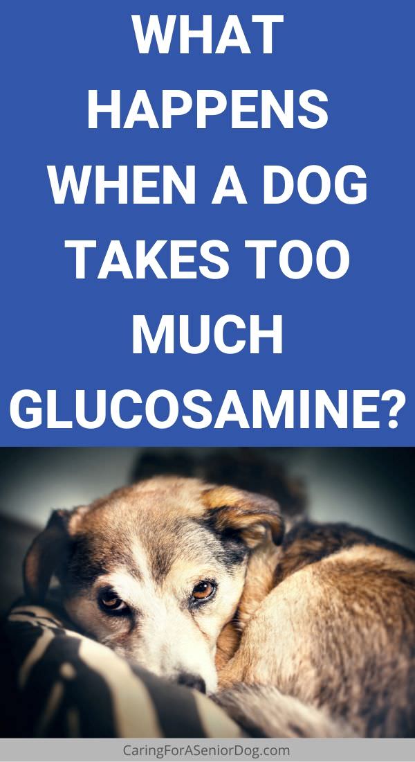 can glucosamine make a dog sick