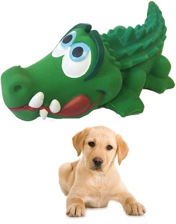 Sensory toys outlet for blind dogs