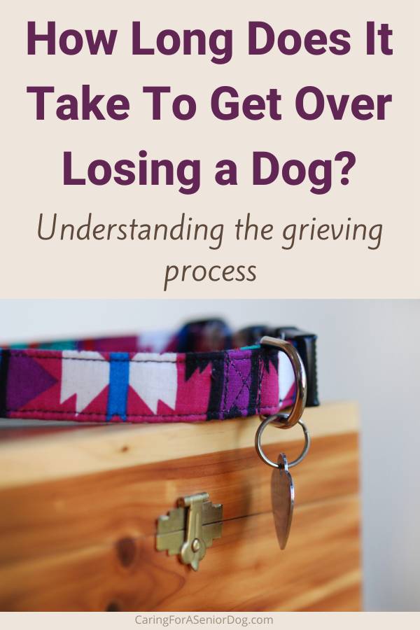 dog collar sitting on a wooden box | how long does it take to get over losing a dog