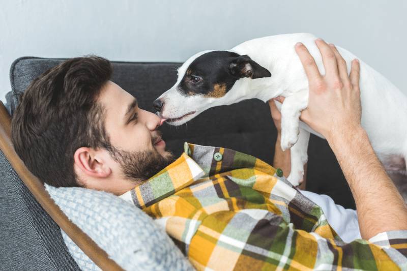 dog kissing man lying on couch | How Soon After My Dog Dies Should I Get a New One?