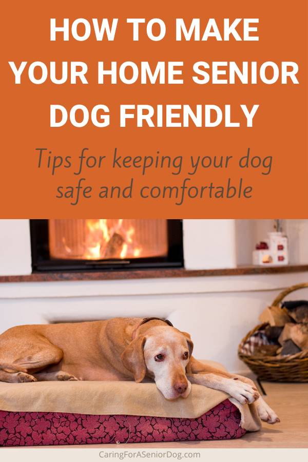 dog lying on bed by the fire | how to make your home senior dog friendly pin